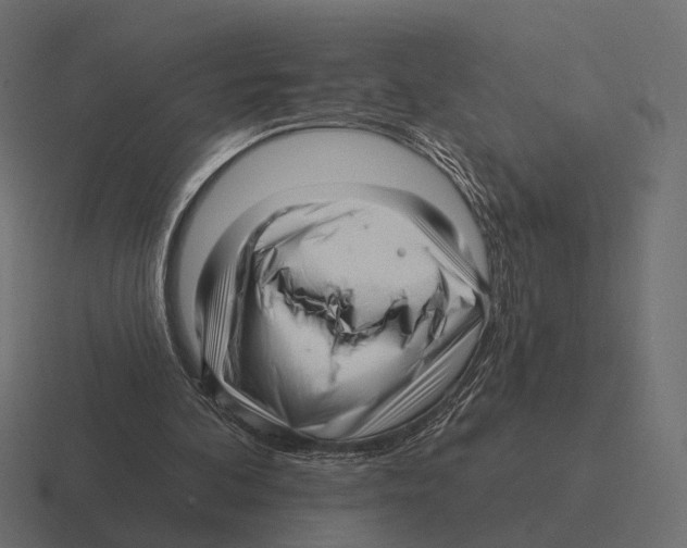 X0000116300292200912291437