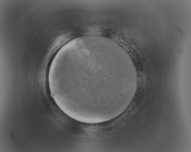 X0000116300293200912291437