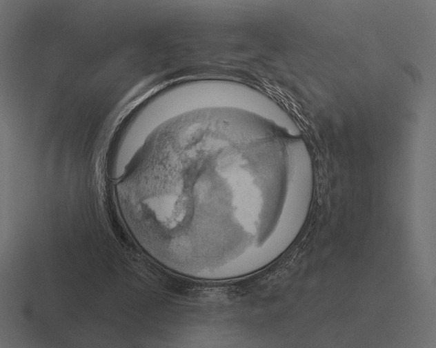 X0000116300295200912291437