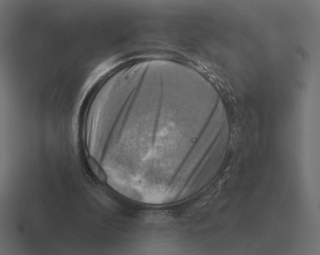 X0000116300296200912291437