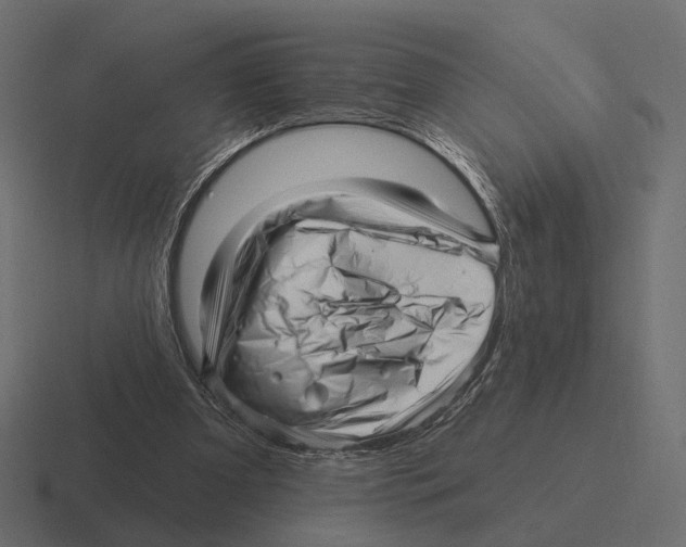 X0000116300297200912291437