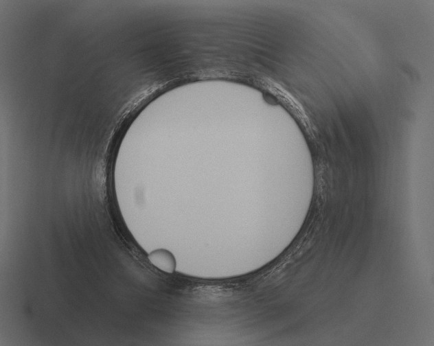 X0000116300298200912291437