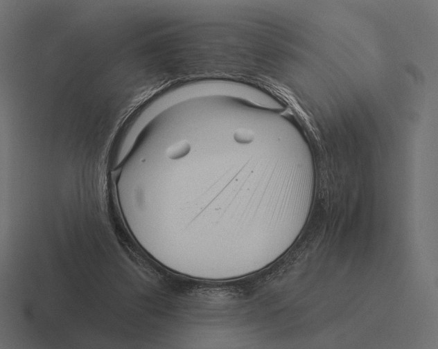 X0000116300299200912291437