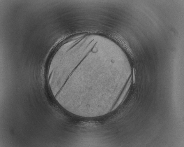 X0000116300300200912291437