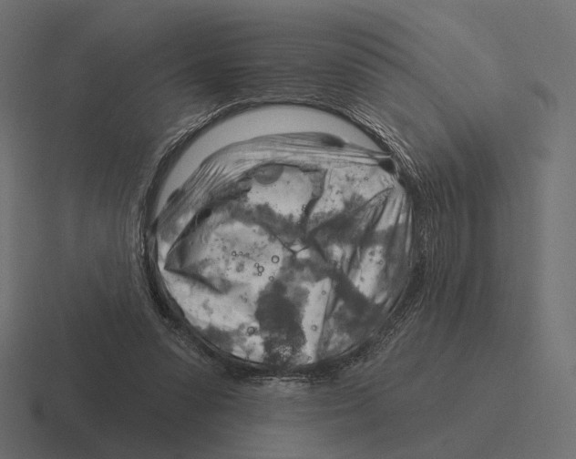 X0000116300303200912291437