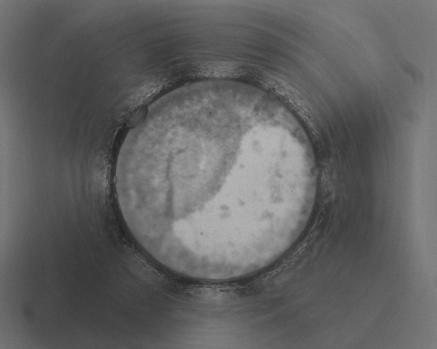 X0000116300305200912291437