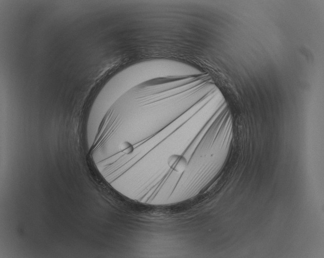 X0000116300308200912291437