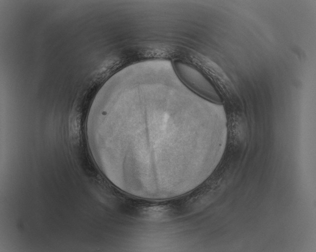 X0000116300312200912291437