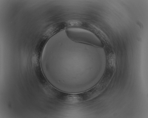 X0000116300316200912291437