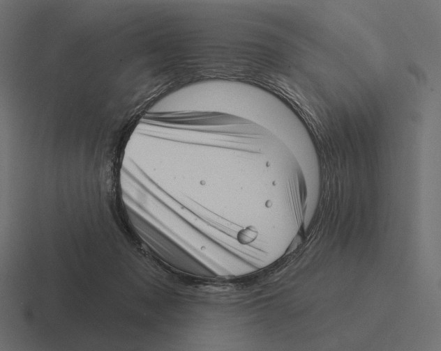 X0000116300317200912291437