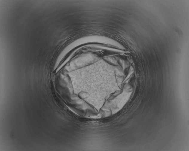 X0000116300320200912291437