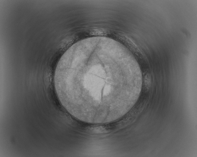 X0000116300322200912291437