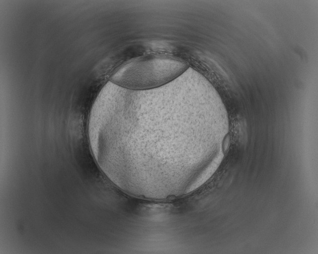 X0000116300323200912291437