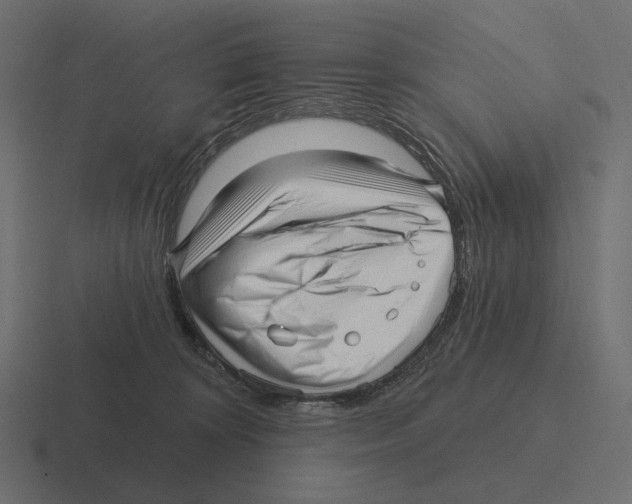 X0000116300324200912291437