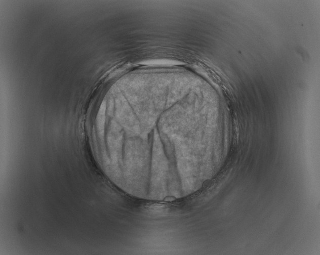 X0000116300325200912291437