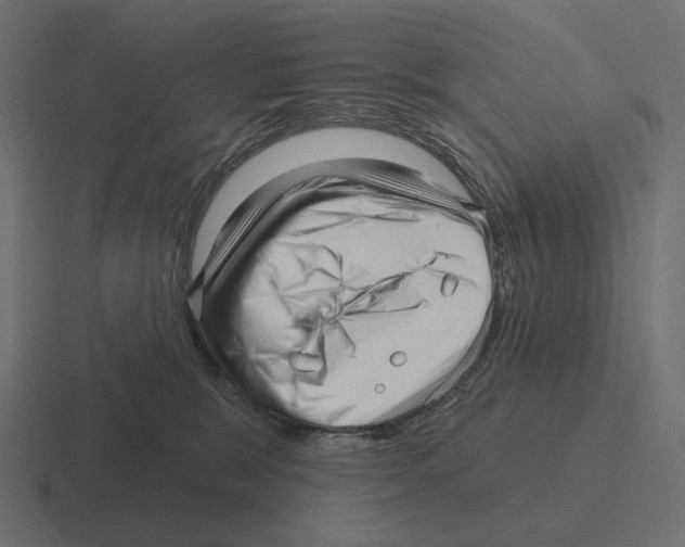 X0000116300327200912291436