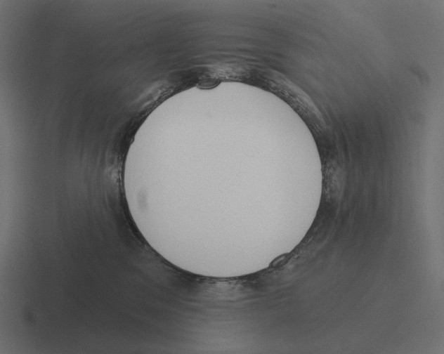 X0000116300329200912291436