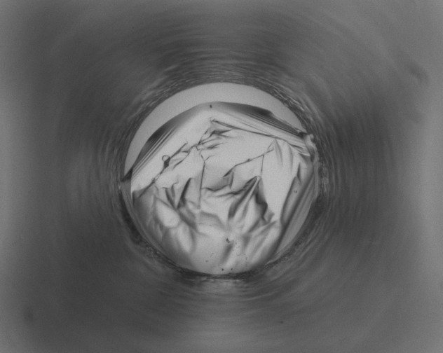 X0000116300332200912291436