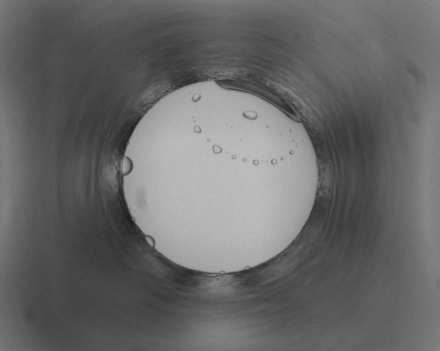 X0000116300334200912291436