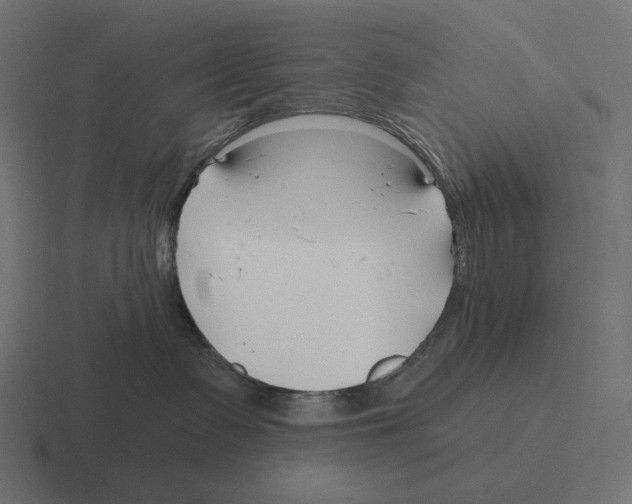 X0000116300335200912291436