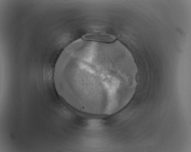 X0000116300336200912291436