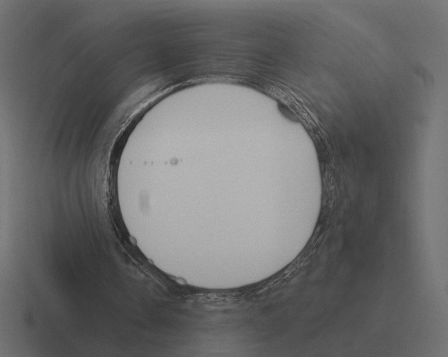 X0000116300338200912291436