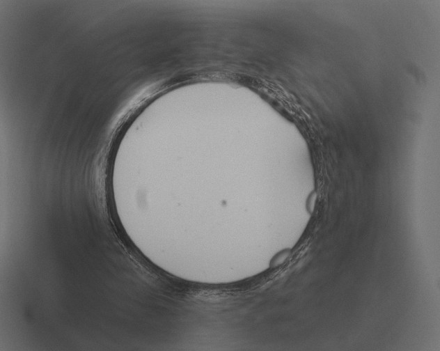 X0000116300341200912291436