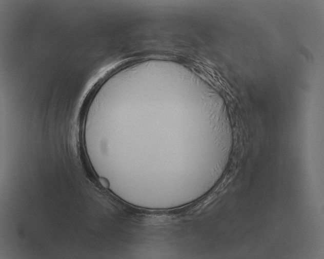 X0000116300342200912291436