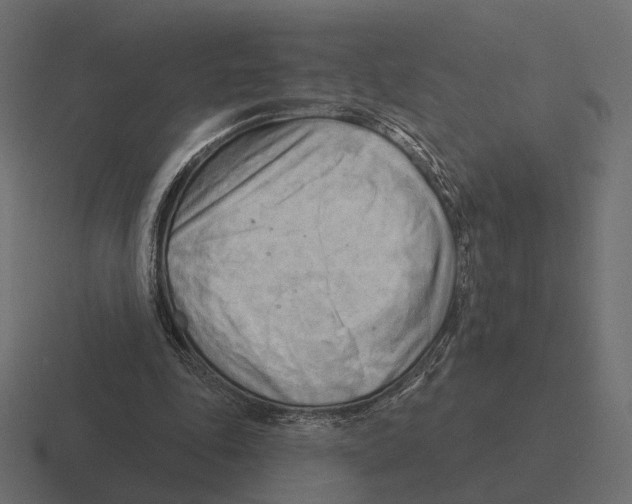 X0000116300343200912291436