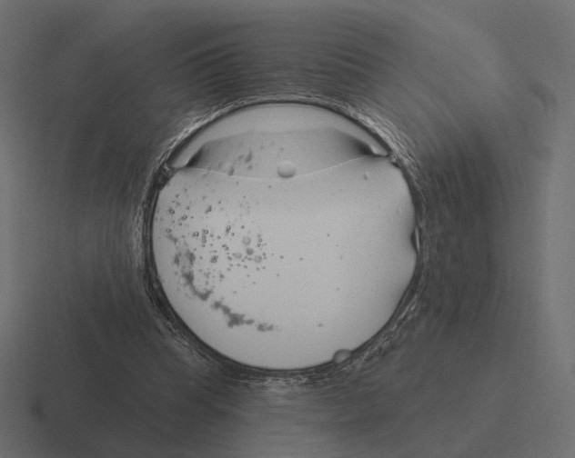 X0000116300345200912291436