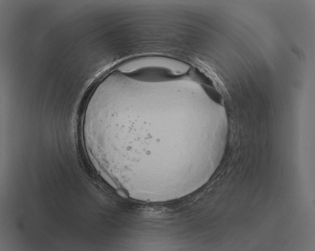 X0000116300346200912291436