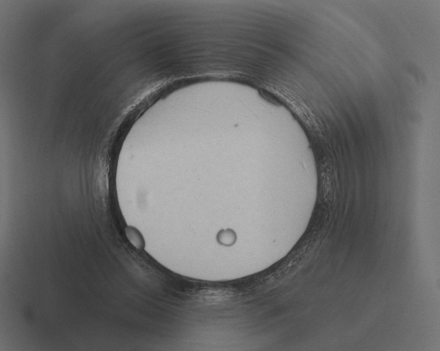 X0000116300350200912291436