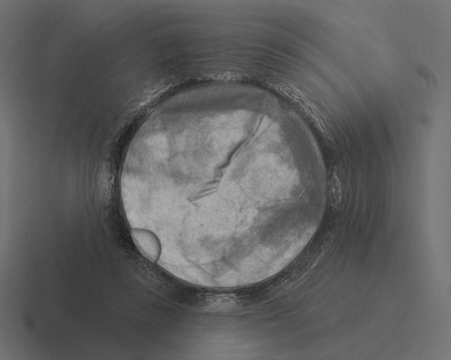 X0000116300355200912291436