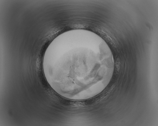 X0000116300359200912291436