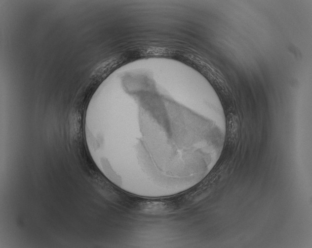 X0000116300361200912291436