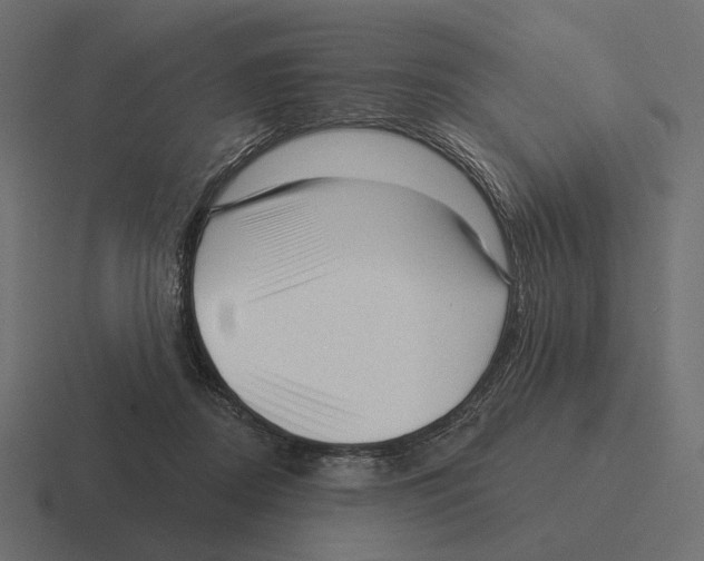 X0000116300362200912291436