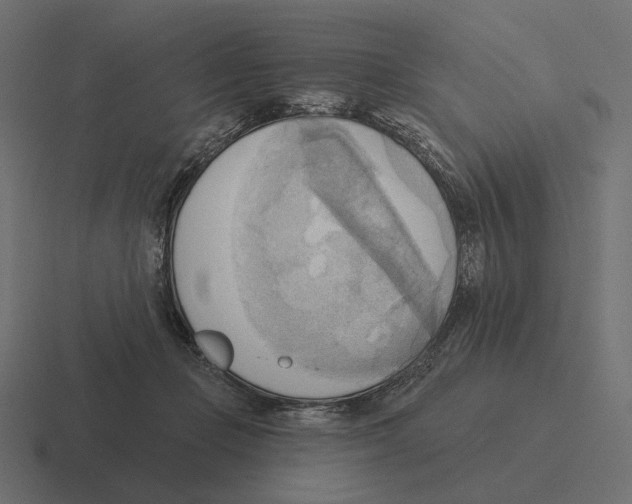 X0000116300365200912291436