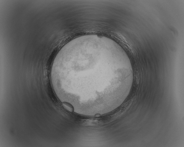 X0000116300366200912291436