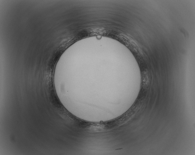 X0000116300369200912291436