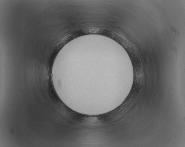 X0000116300374200912291436