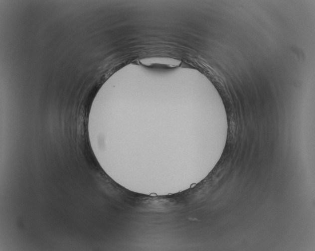 X0000116300379200912291436