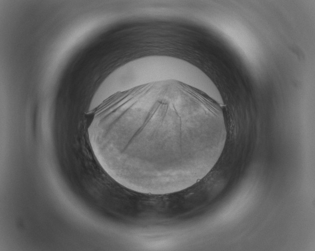 X0000116300383200912291436