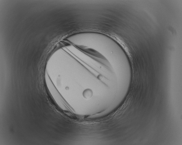 X0000116300385200912291436