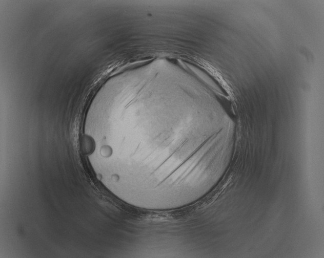 X0000116300386200912291436