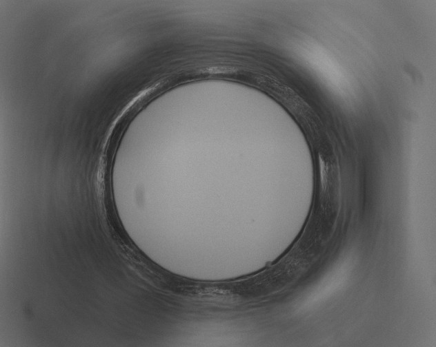 X0000116300387200912291436