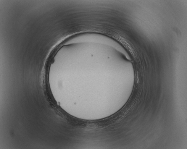 X0000116300388200912291436