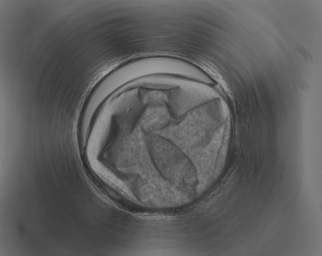 X0000116300389200912291436