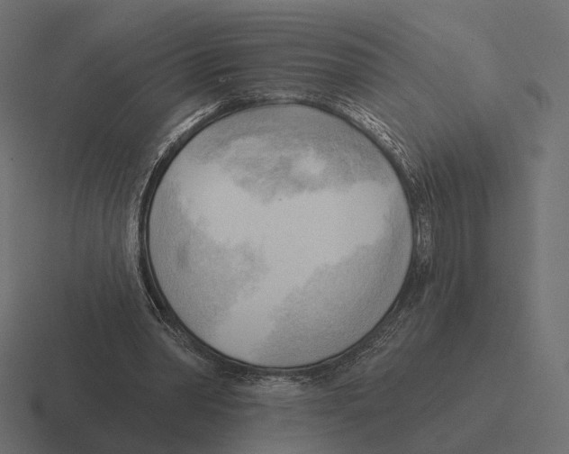 X0000116300390200912291436