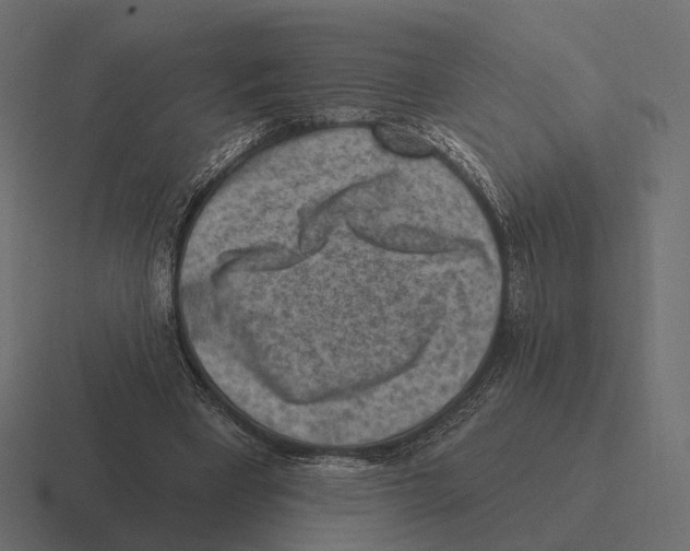 X0000116300393200912291436