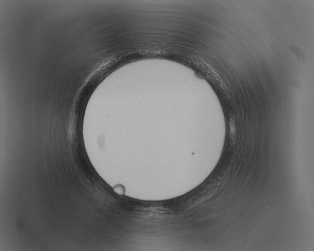 X0000116300396200912291436